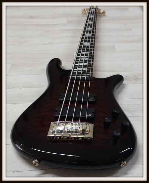 Spector Icon NS-5 Bolt-On, Black Cherry Gloss